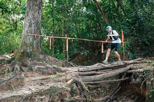 BIB: 
                            <button type="button" onclick="openModal(27803899)" class="btn btn-primary btn-sm float-right btn-popup" data-toggle="modal" data-target=".modal-high-quality">
                        <i class="fas fa-shopping-cart"></i> Add to Cart
                    </button>
                                            <button type="button" onclick="isThisMe(27803899, true)" class="btn btn-success btn-sm float-right btn-popup btn-isme hidden" data-toggle="tooltip" data-placement="bottom" title="นี่คือรูปของคุณใช่ไหม คลิกที่นี่เพื่อเอาเข้าอัลบั้ม">
                        <i class="fas fa-plus"></i> Add to album
                    </button>
                    <button type="button" onclick="isThisMe(27803899, false)" class="btn btn-warning btn-sm float-right btn-popup btn-isnotme hidden">
                        <i class="fas fa-ban"></i> Remove from album
                    </button>